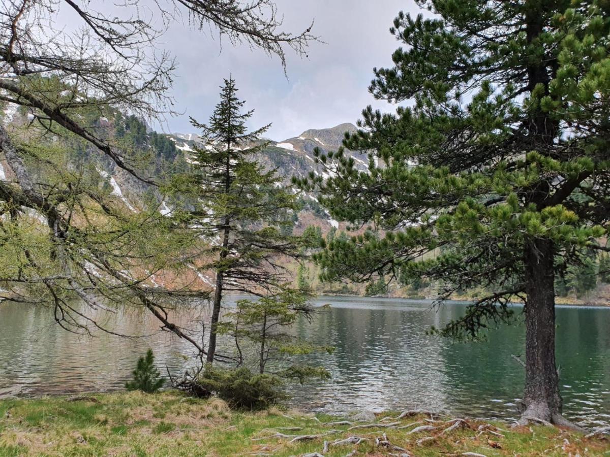 Grassegger Appartementhaus Sankt Johann am Tauern Ngoại thất bức ảnh