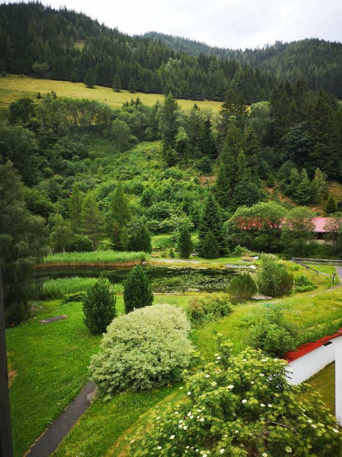 Grassegger Appartementhaus Sankt Johann am Tauern Ngoại thất bức ảnh