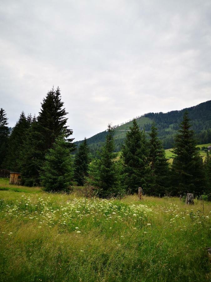 Grassegger Appartementhaus Sankt Johann am Tauern Ngoại thất bức ảnh